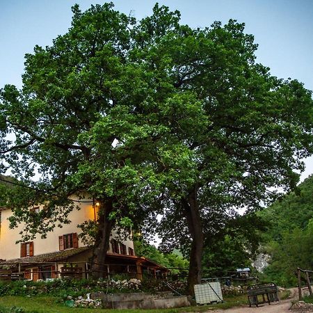 Agriturismo Le Due Querce Cerreto di Spoleto المظهر الخارجي الصورة