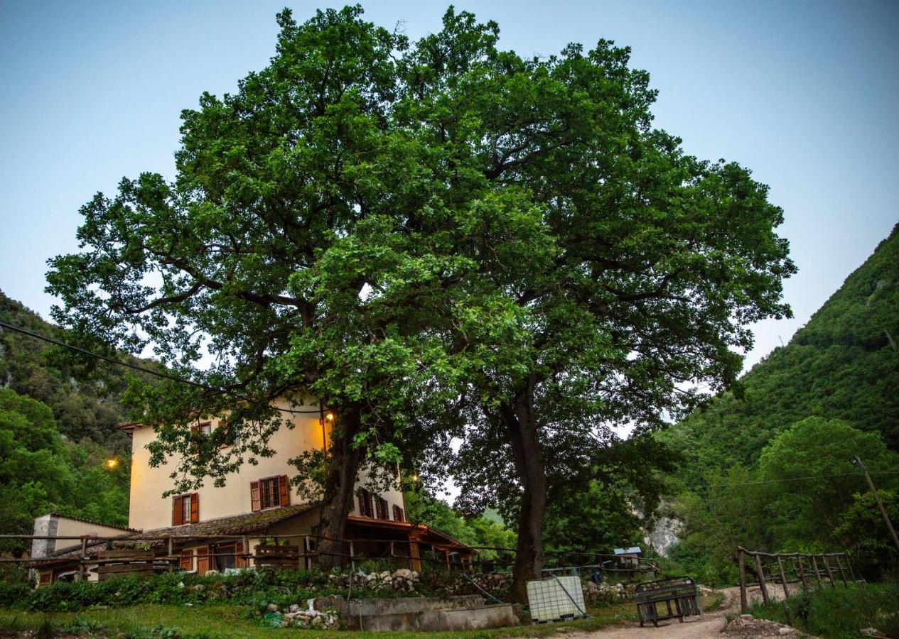 Agriturismo Le Due Querce Cerreto di Spoleto المظهر الخارجي الصورة